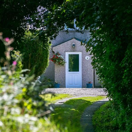 Tyn Llain B&B Llanfflewyn Kültér fotó