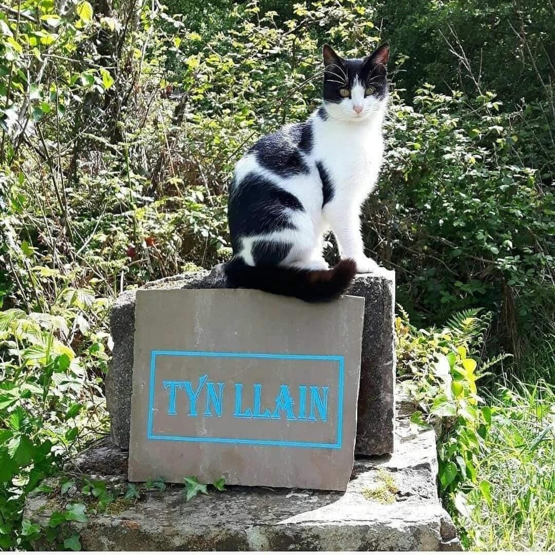 Tyn Llain B&B Llanfflewyn Kültér fotó