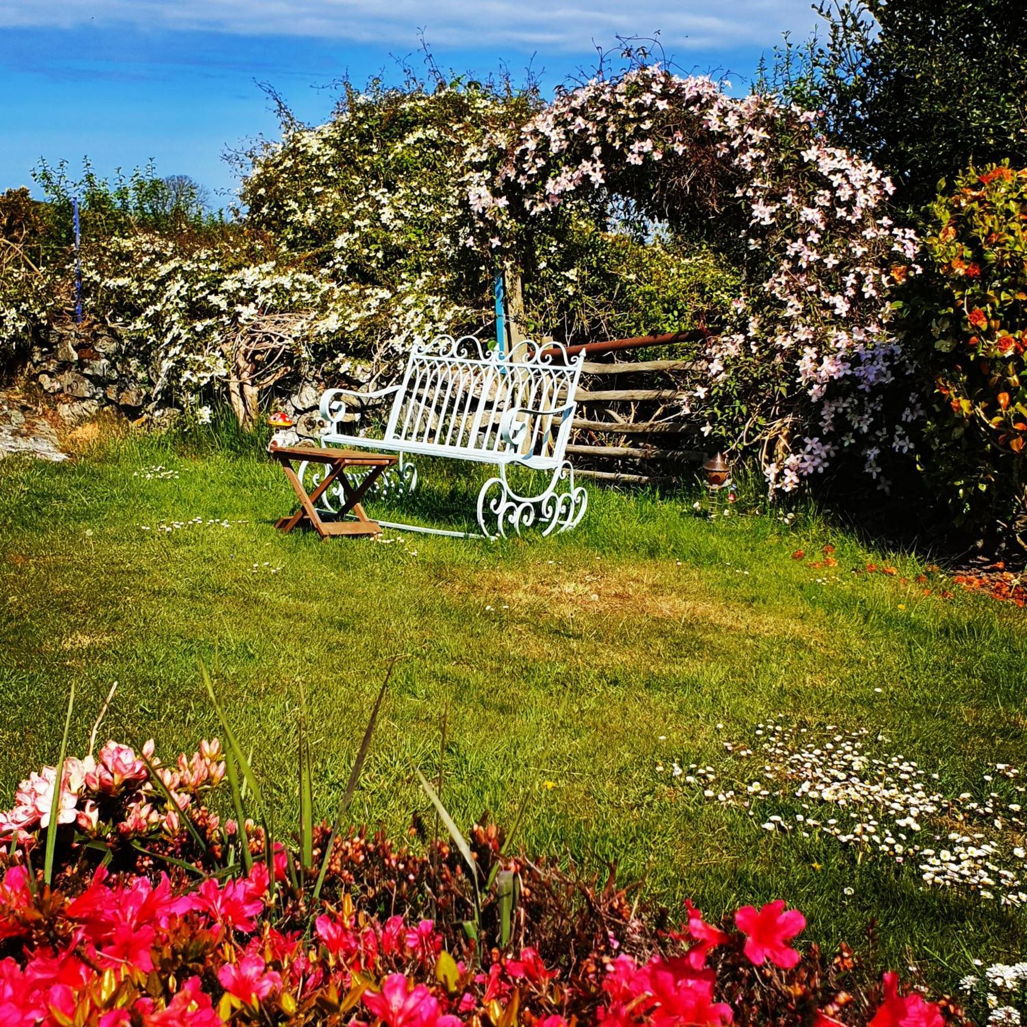 Tyn Llain B&B Llanfflewyn Kültér fotó